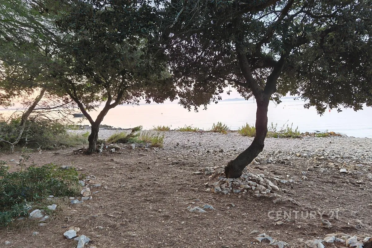 Fotka 7 z 9